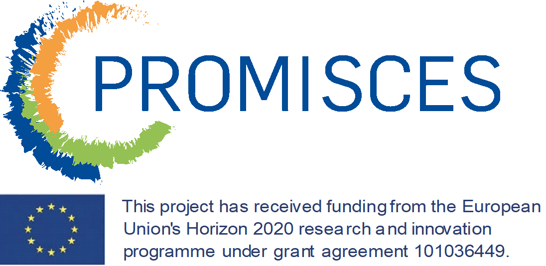 logo PROMISCES